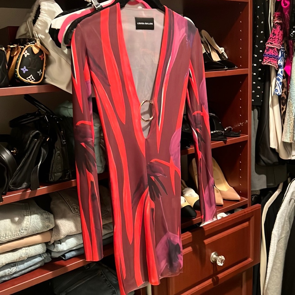 Louisa ballou dress - Picture 2 of 5